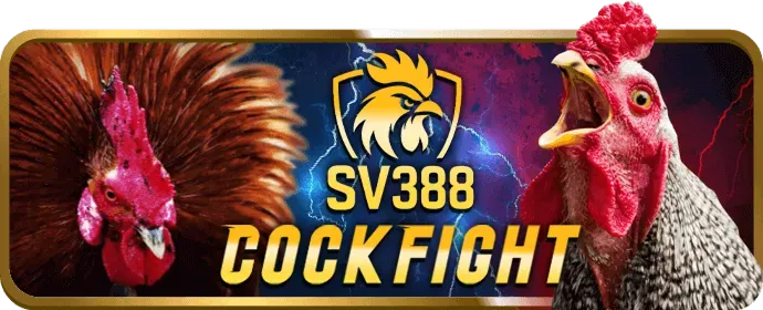 Đặt cược đá gà tại xs9988 login
